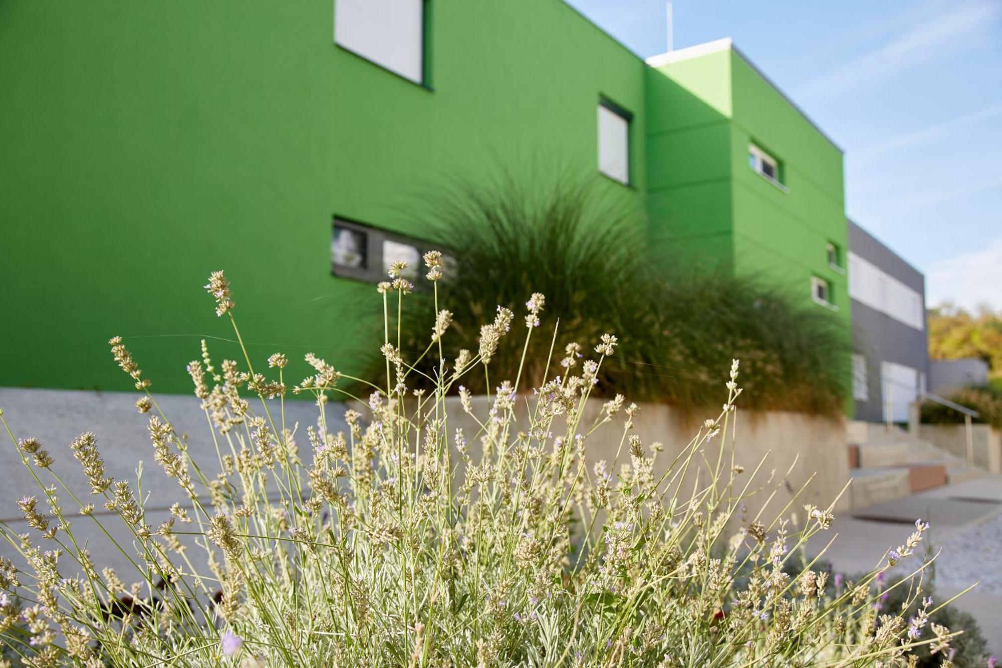 Good Rooms Gmbh Guntramsdorf Esterno foto